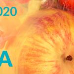 Fruit Logistica 2020 Berlín Mundosol Quality
