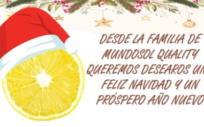 FELIZ NAVIDAD Y PRÓSPERO AÑO 2.026